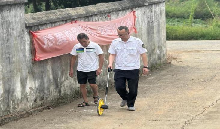 云霄黄金叶(摩卡)厂家渠道，黄金叶(摩卡)多少钱一盒2024？